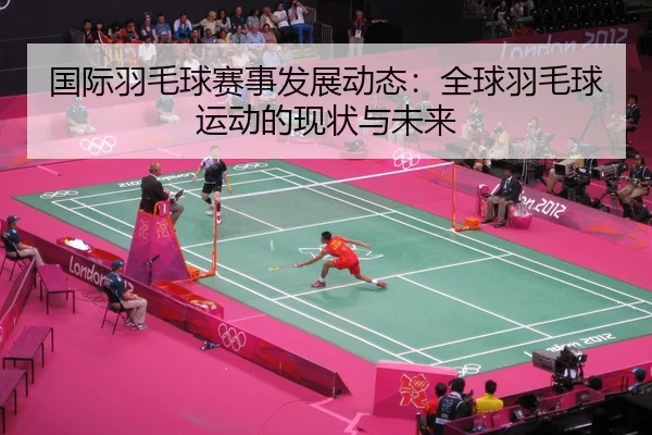 国际羽毛球赛事发展动态：全球羽毛球运动的现状与未来
