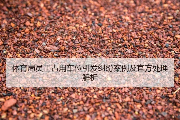 体育局员工占用车位引发纠纷案例及官方处理解析